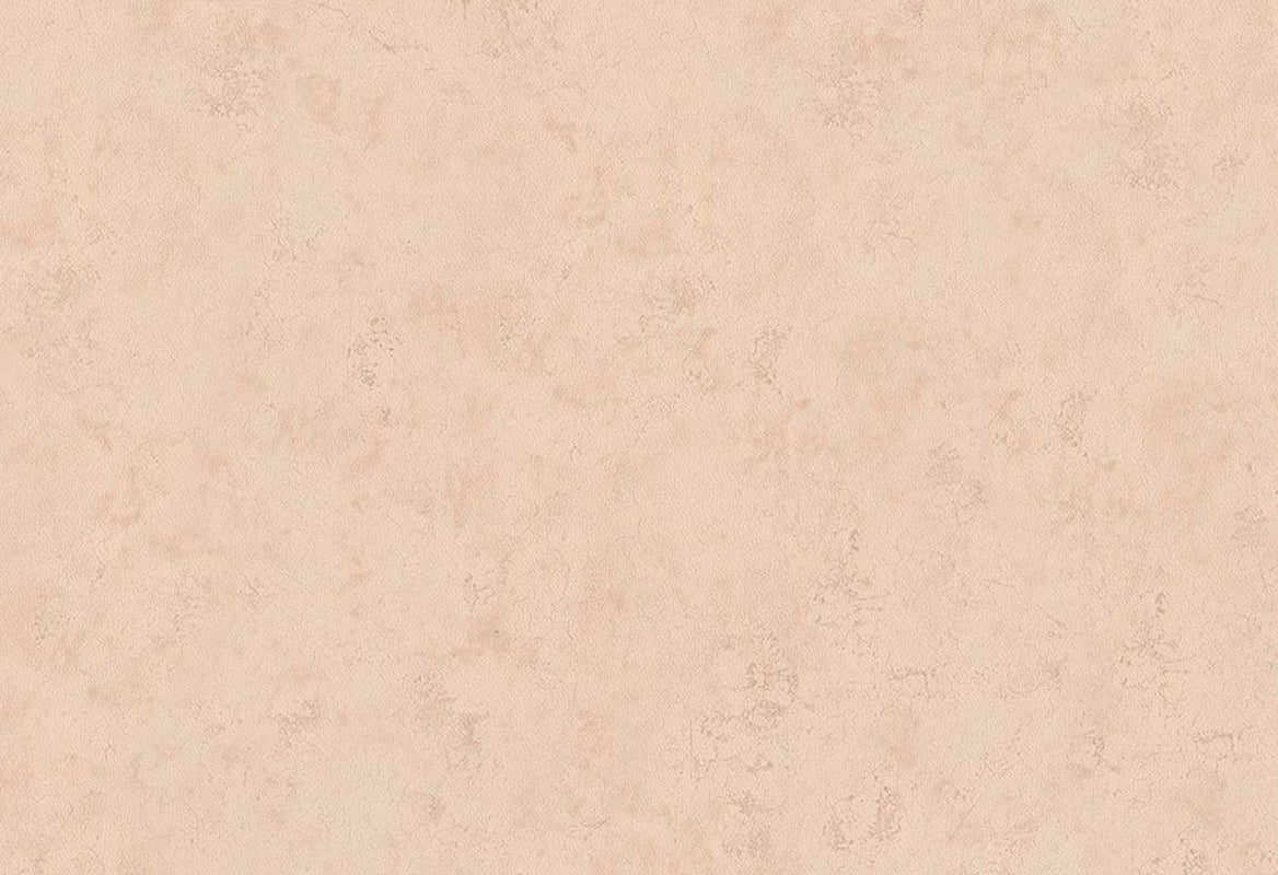 HookedOnWalls Passe Partout 2025 Tone on Tone Tone on Tone behang 4468Afbeelding 1
