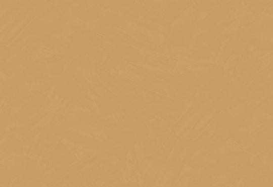 HookedOnWalls Passe Partout 2025 Tone on Tone Tone on Tone behang 4463Afbeelding 1