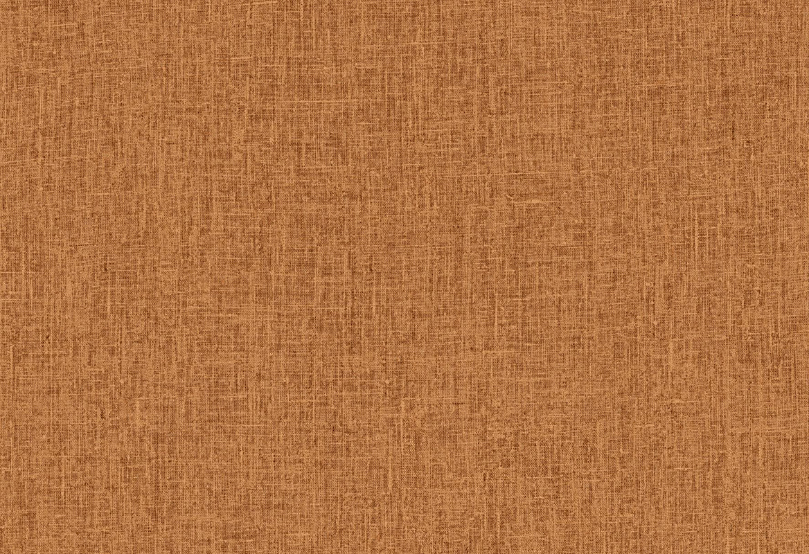 HookedOnWalls Passe Partout 2025 Tone on Tone Tone on Tone behang 4467Afbeelding 1