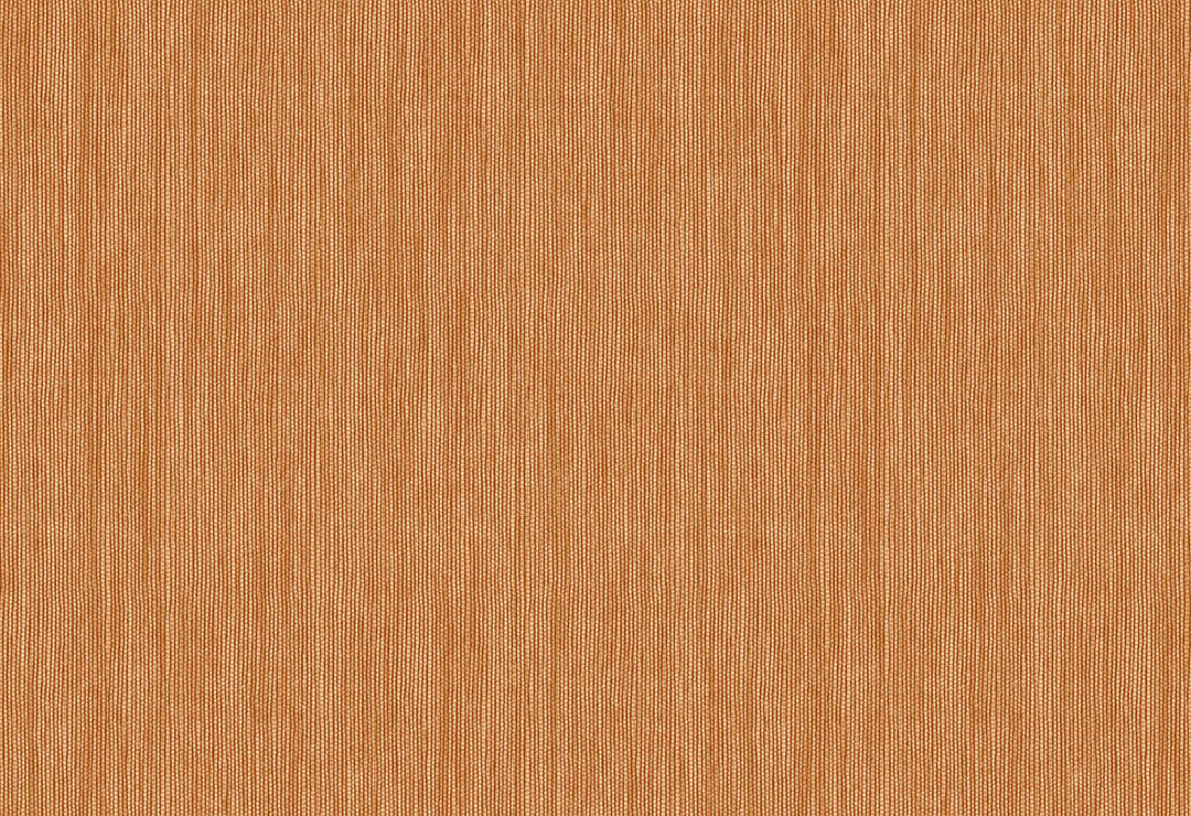 HookedOnWalls Passe Partout 2025 Tone on Tone Tone on Tone behang 4466Afbeelding 1