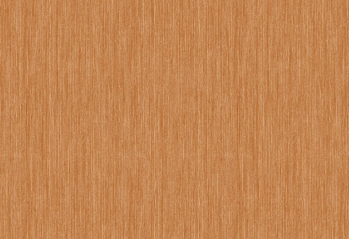 HookedOnWalls Passe Partout 2025 Tone on Tone Tone on Tone behang 4466Afbeelding 1
