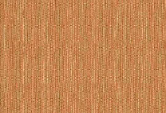 HookedOnWalls Passe Partout 2025 Tone on Tone Tone on Tone behang 4466Afbeelding 1