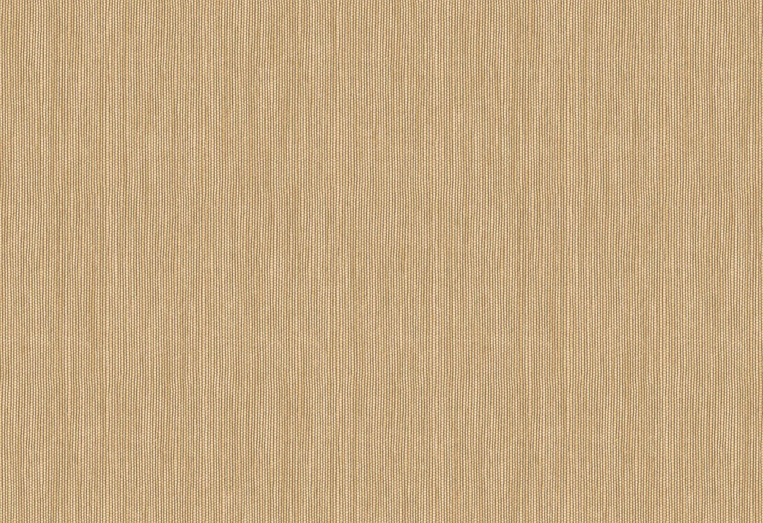 HookedOnWalls Passe Partout 2025 Tone on Tone Tone on Tone behang 4464Afbeelding 1