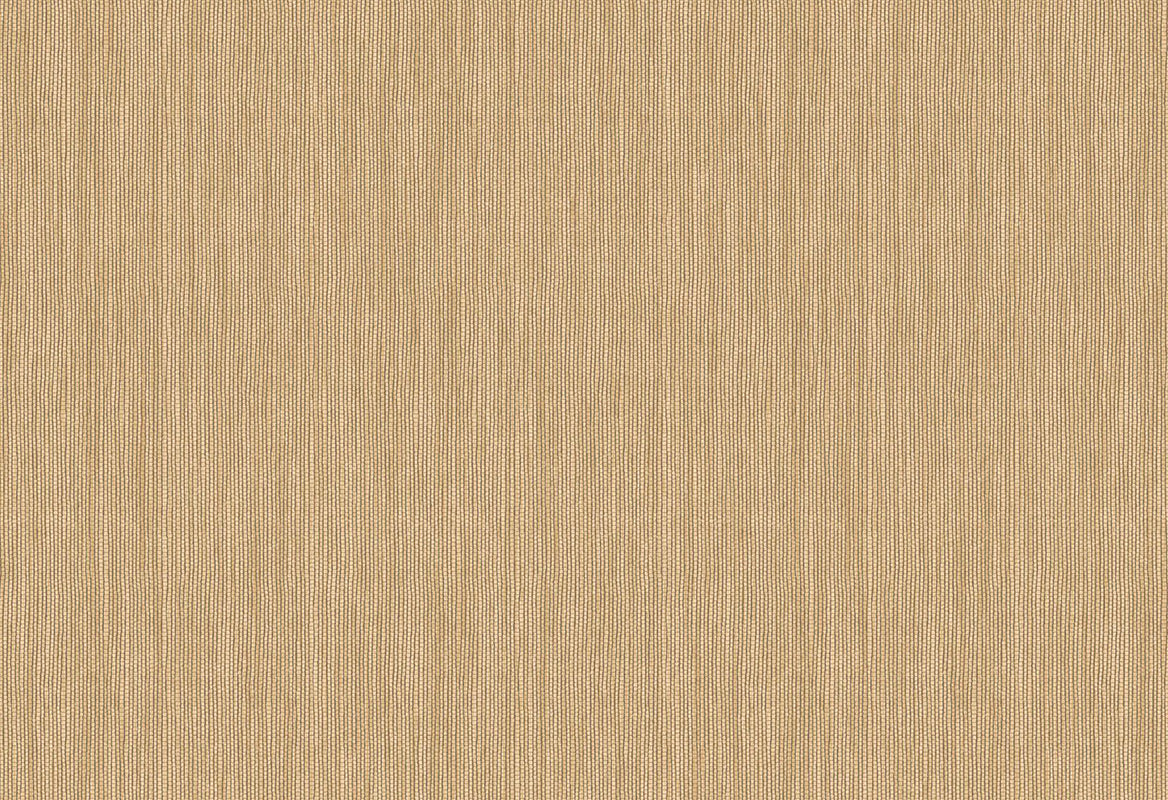 HookedOnWalls Passe Partout 2025 Tone on Tone Tone on Tone behang 4464Afbeelding 1
