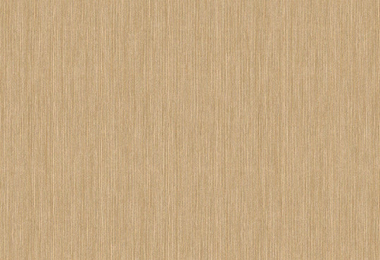 HookedOnWalls Passe Partout 2025 Tone on Tone Tone on Tone behang 4464Afbeelding 1