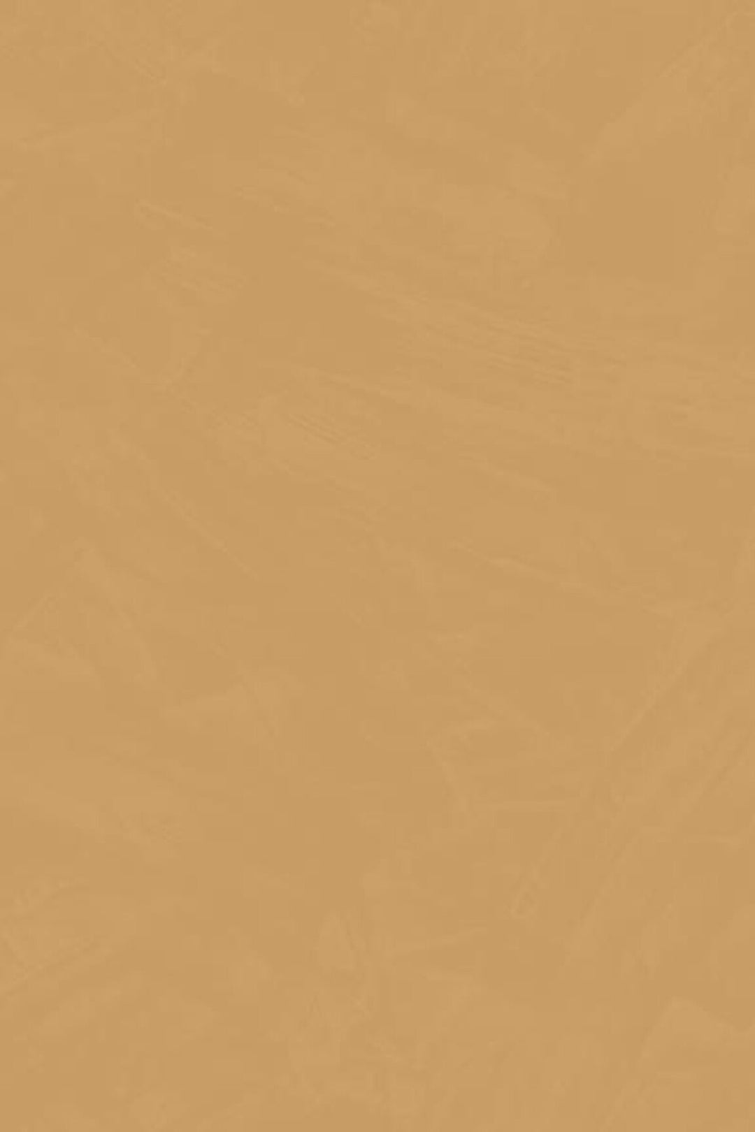 HookedOnWalls Passe Partout 2025 Tone on Tone Tone on Tone behang 4463Afbeelding 3