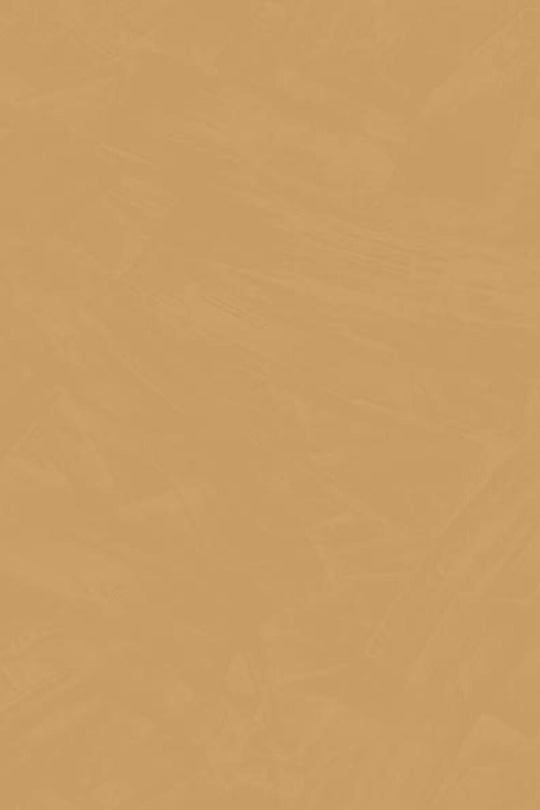 HookedOnWalls Passe Partout 2025 Tone on Tone Tone on Tone behang 4463Afbeelding 3