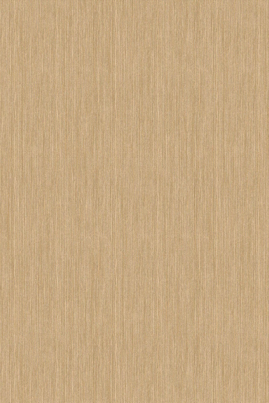 HookedOnWalls Passe Partout 2025 Tone on Tone Tone on Tone behang 4464Afbeelding 3