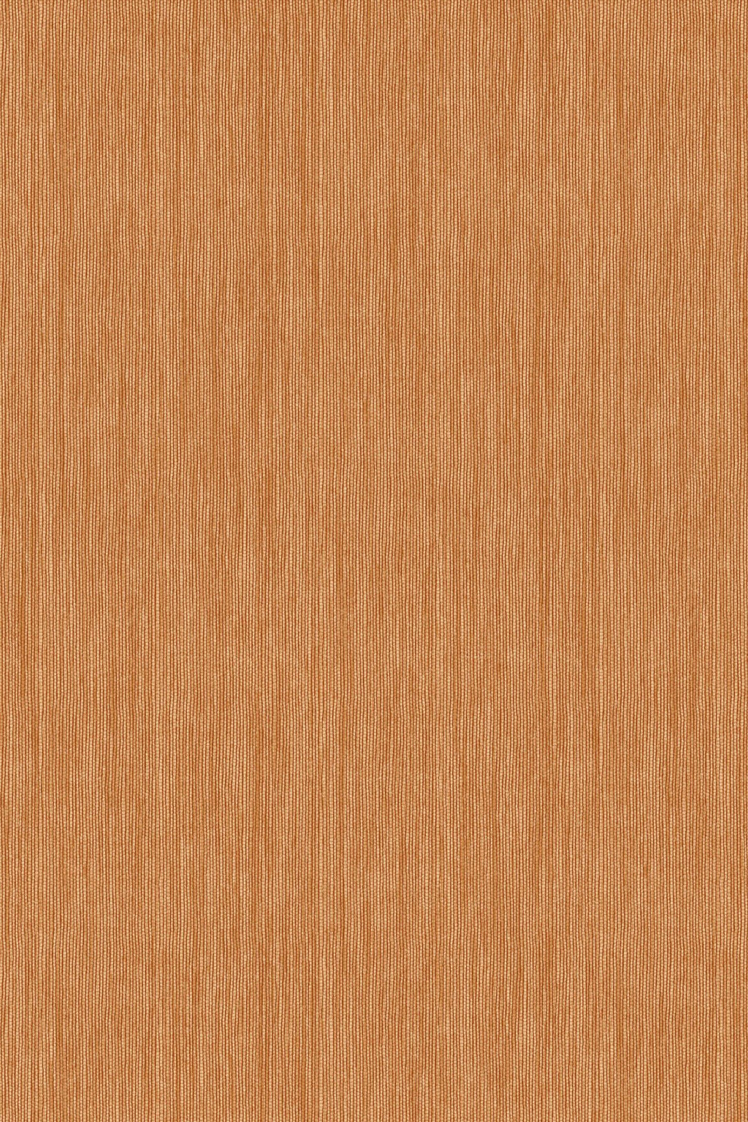 HookedOnWalls Passe Partout 2025 Tone on Tone Tone on Tone behang 4466Afbeelding 3
