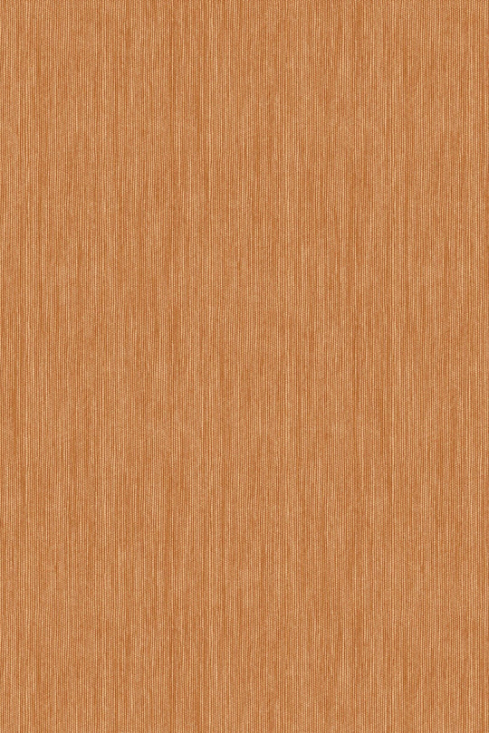 HookedOnWalls Passe Partout 2025 Tone on Tone Tone on Tone behang 4466Afbeelding 3