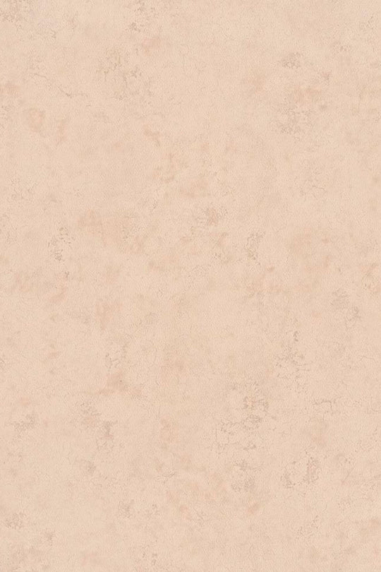 HookedOnWalls Passe Partout 2025 Tone on Tone Tone on Tone behang 4468Afbeelding 3