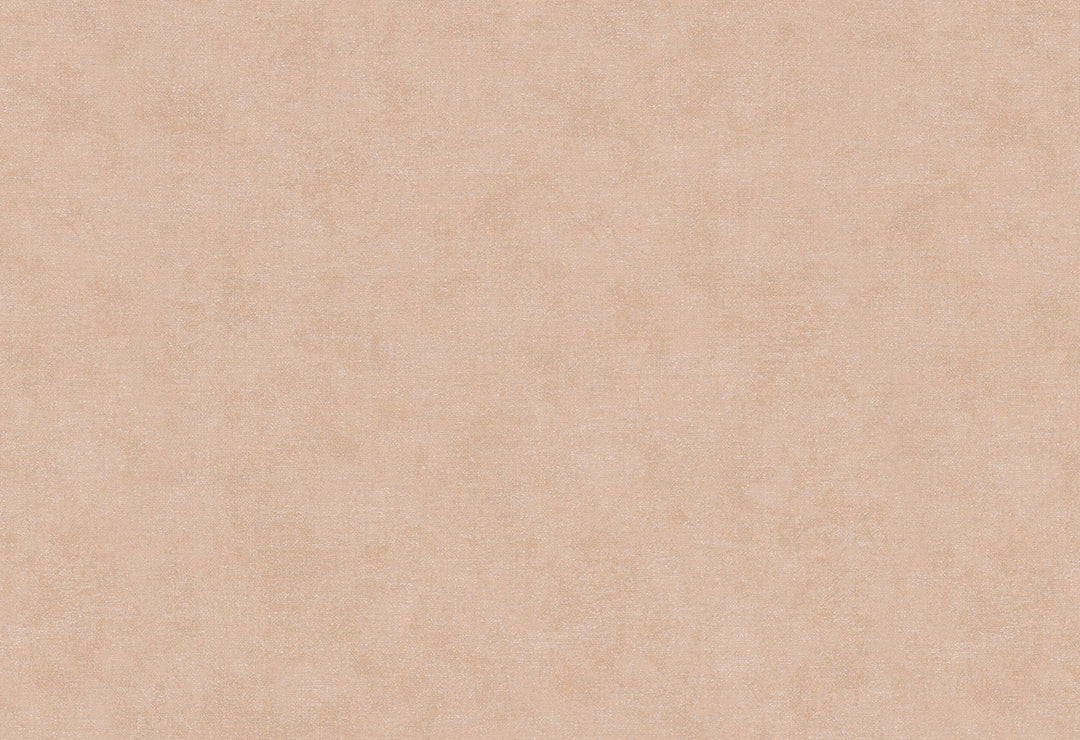 HookedOnWalls Passe Partout 2025 Tone on Tone Tone on Tone behang 4470Afbeelding 1
