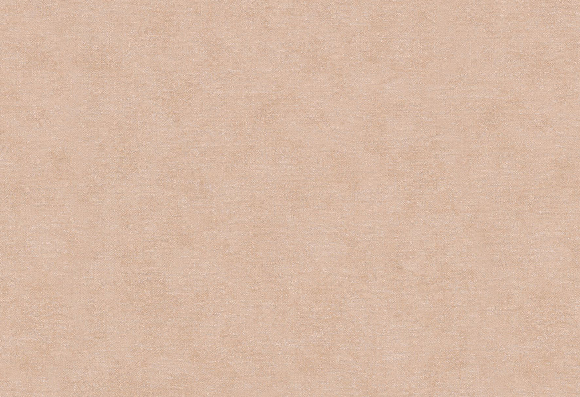 HookedOnWalls Passe Partout 2025 Tone on Tone Tone on Tone behang 4470Afbeelding 1