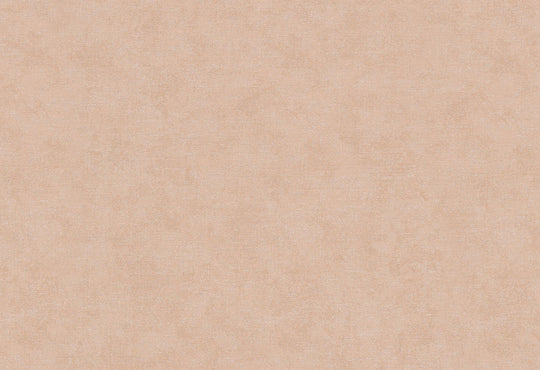 HookedOnWalls Passe Partout 2025 Tone on Tone Tone on Tone behang 4470Afbeelding 1