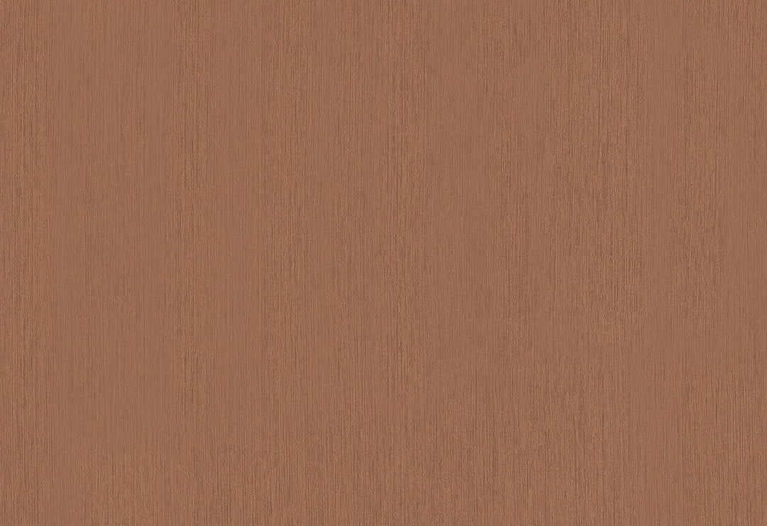 HookedOnWalls Passe Partout 2025 Tone on Tone Tone on Tone behang 4476Afbeelding 1