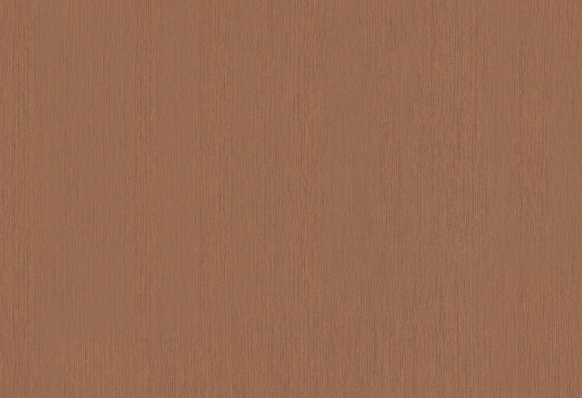 HookedOnWalls Passe Partout 2025 Tone on Tone Tone on Tone behang 4476Afbeelding 1