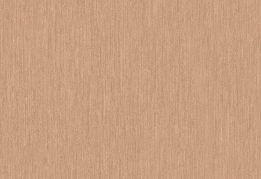 HookedOnWalls Passe Partout 2025 Tone on Tone Tone on Tone behang 4471Afbeelding 1