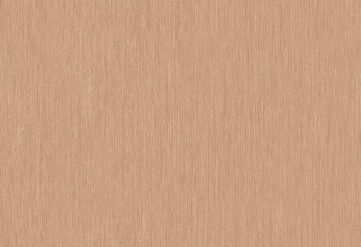 HookedOnWalls Passe Partout 2025 Tone on Tone Tone on Tone behang 4471Afbeelding 1