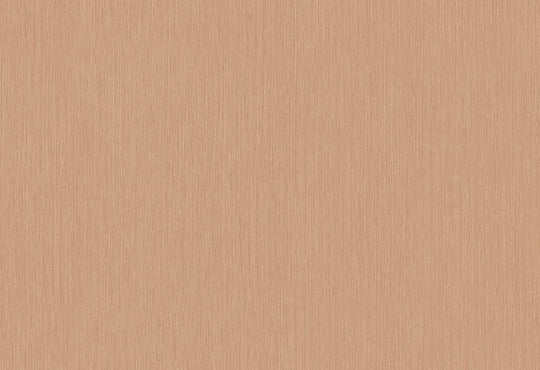 HookedOnWalls Passe Partout 2025 Tone on Tone Tone on Tone behang 4471Afbeelding 1