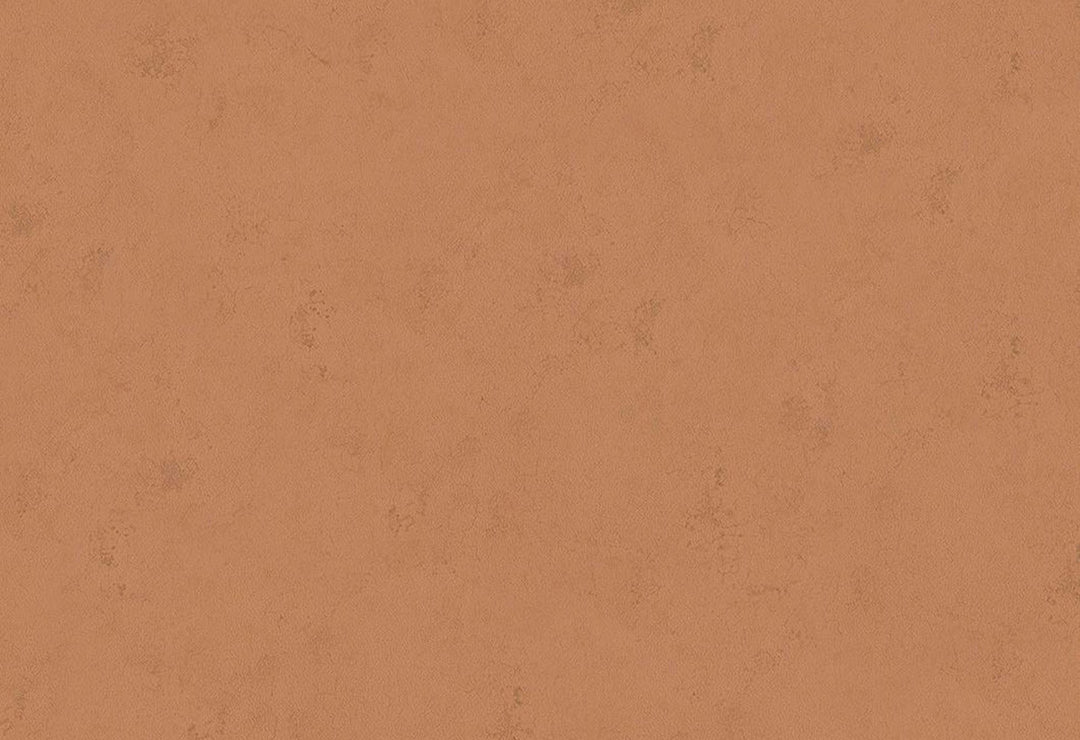 HookedOnWalls Passe Partout 2025 Tone on Tone Tone on Tone behang 4473Afbeelding 1