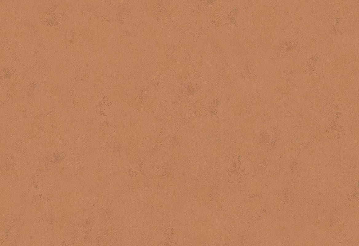 HookedOnWalls Passe Partout 2025 Tone on Tone Tone on Tone behang 4473Afbeelding 1