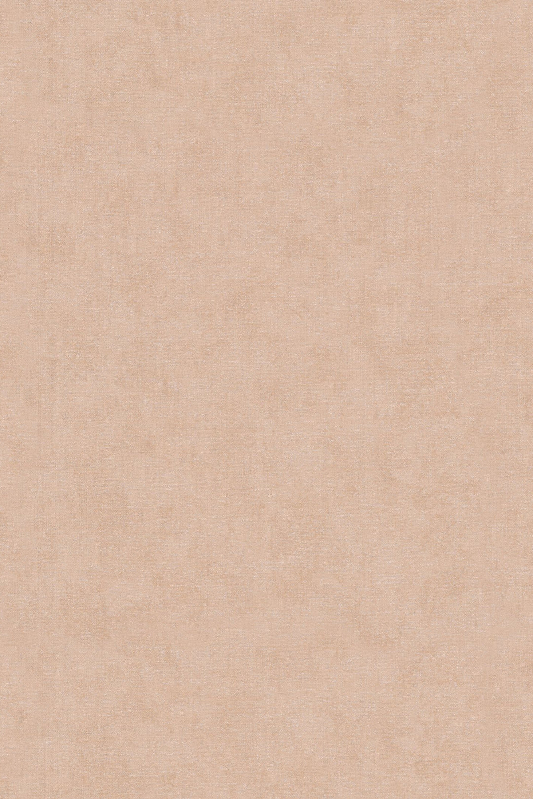 HookedOnWalls Passe Partout 2025 Tone on Tone Tone on Tone behang 4470Afbeelding 3
