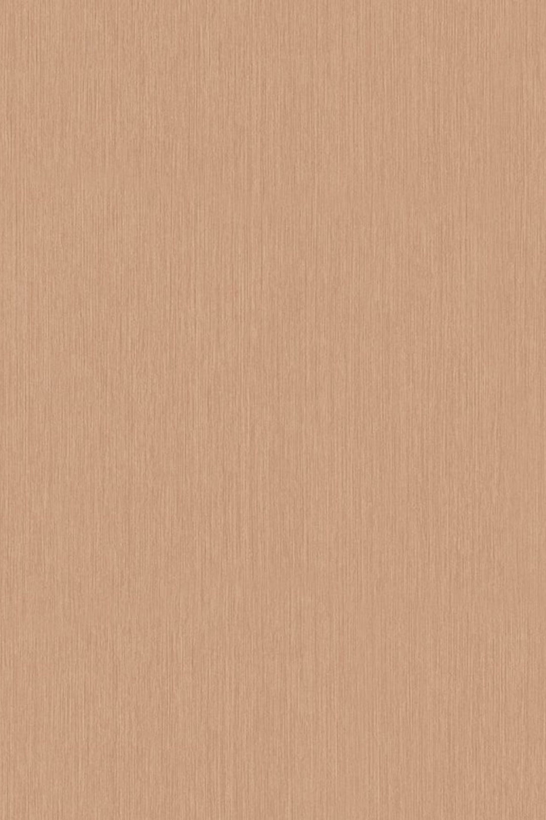 HookedOnWalls Passe Partout 2025 Tone on Tone Tone on Tone behang 4471Afbeelding 3