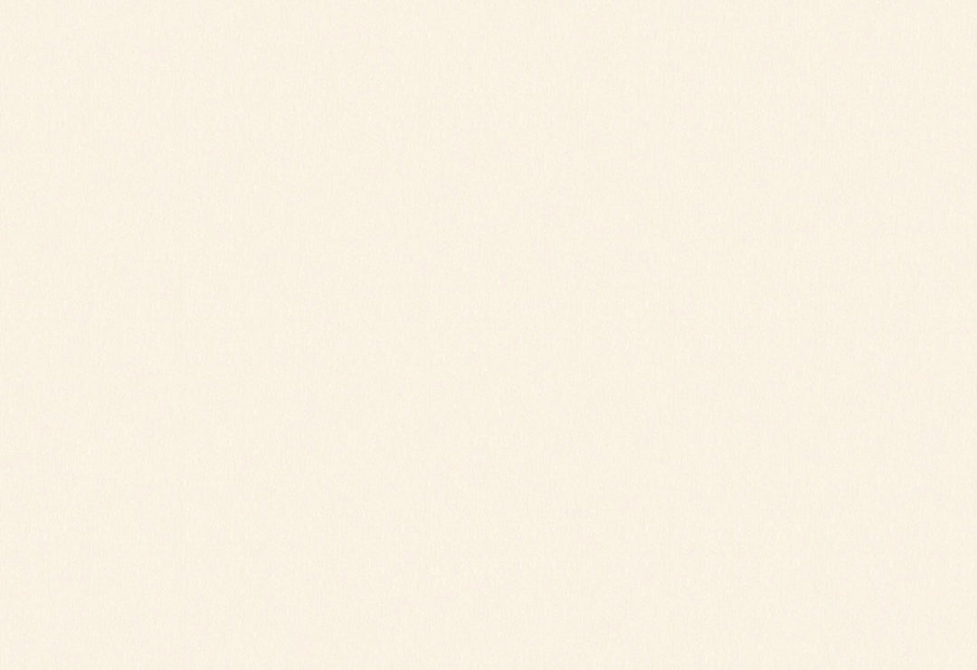HookedOnWalls Passe Partout 2025 Tone on Tone Tone on Tone behang 4484Afbeelding 1