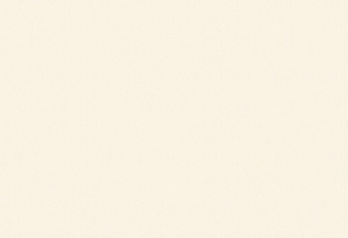 HookedOnWalls Passe Partout 2025 Tone on Tone Tone on Tone behang 4484Afbeelding 1