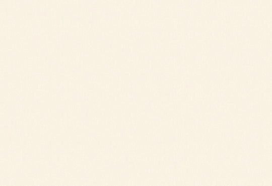 HookedOnWalls Passe Partout 2025 Tone on Tone Tone on Tone behang 4484Afbeelding 1