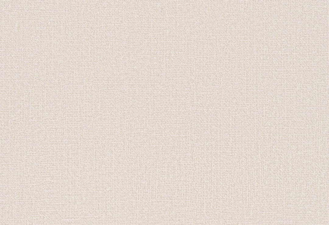 HookedOnWalls Passe Partout 2025 Tone on Tone Tone on Tone behang 4485Afbeelding 1