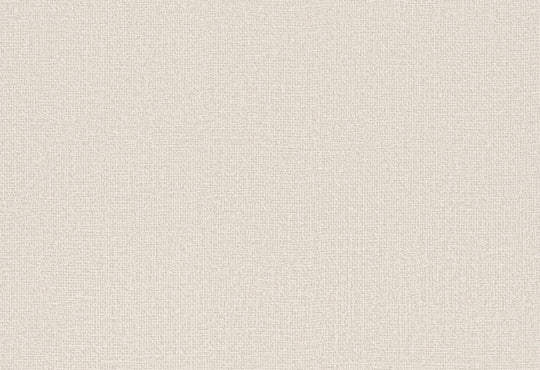 HookedOnWalls Passe Partout 2025 Tone on Tone Tone on Tone behang 4485Afbeelding 1