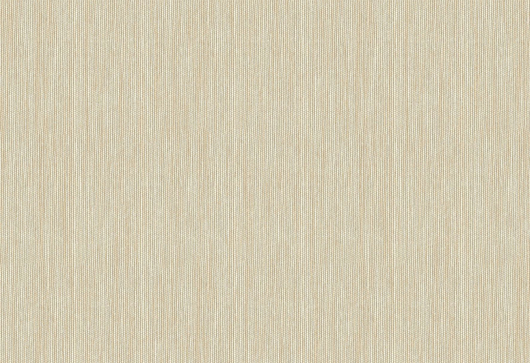 HookedOnWalls Passe Partout 2025 Tone on Tone Tone on Tone behang 4483Afbeelding 1