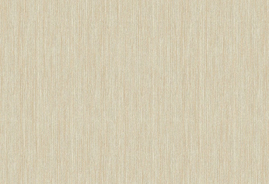 HookedOnWalls Passe Partout 2025 Tone on Tone Tone on Tone behang 4483Afbeelding 1