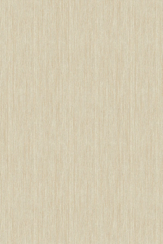 HookedOnWalls Passe Partout 2025 Tone on Tone Tone on Tone behang 4483Afbeelding 3