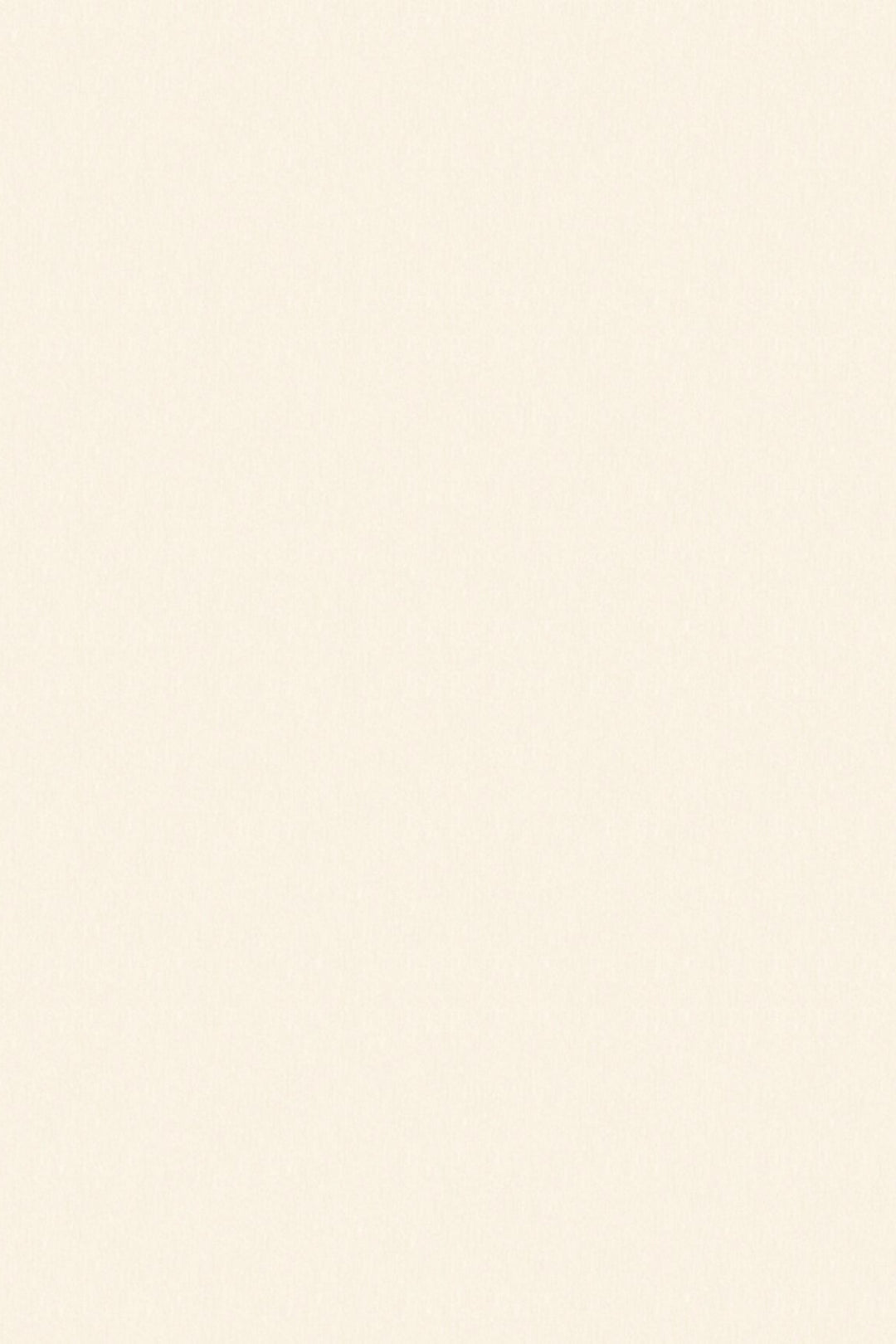 HookedOnWalls Passe Partout 2025 Tone on Tone Tone on Tone behang 4484Afbeelding 3