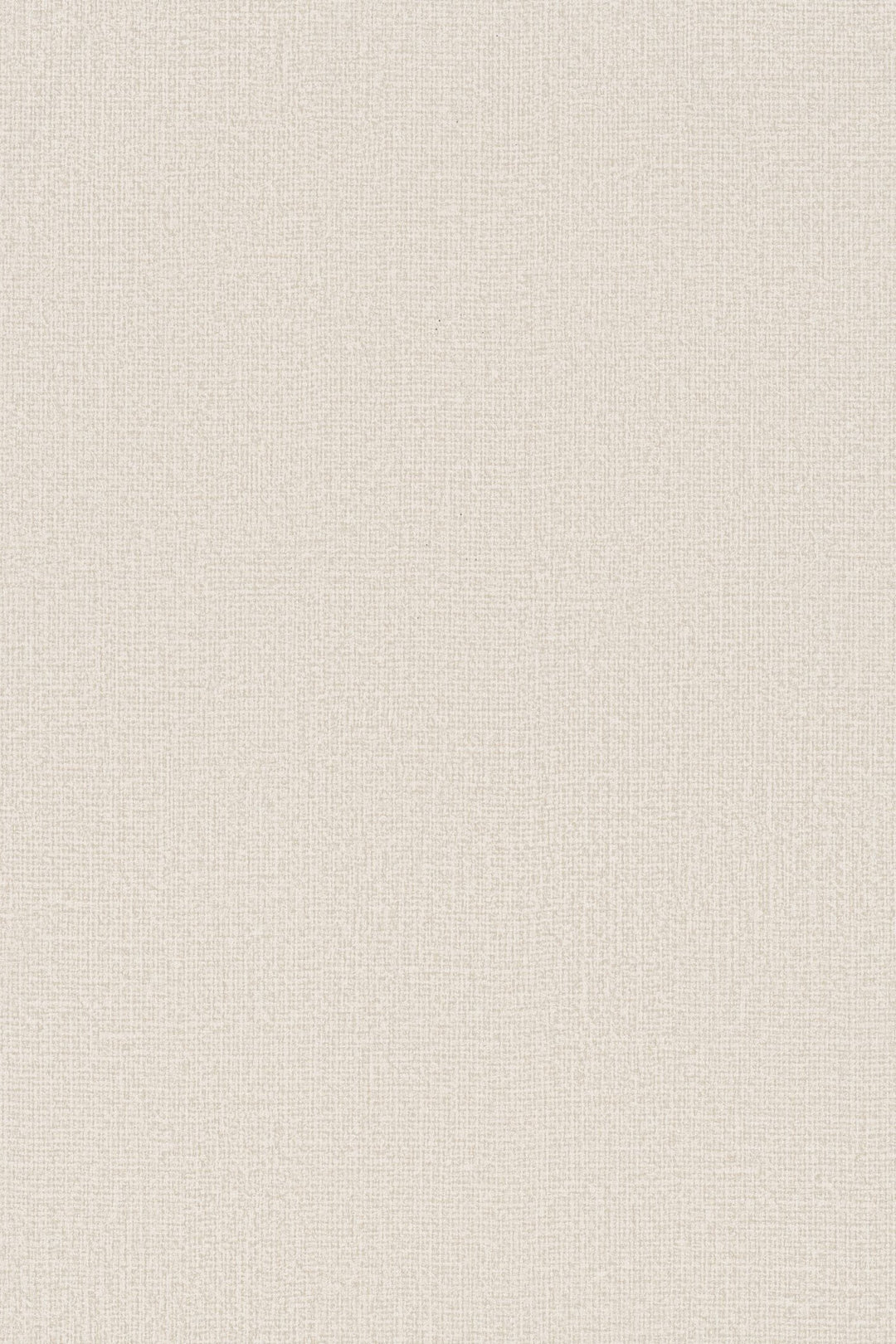 HookedOnWalls Passe Partout 2025 Tone on Tone Tone on Tone behang 4485Afbeelding 3