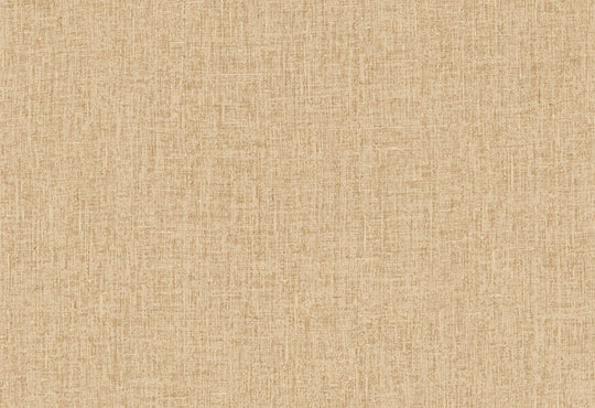 HookedOnWalls Passe Partout 2025 Tone on Tone Tone on Tone behang 4494Afbeelding 1