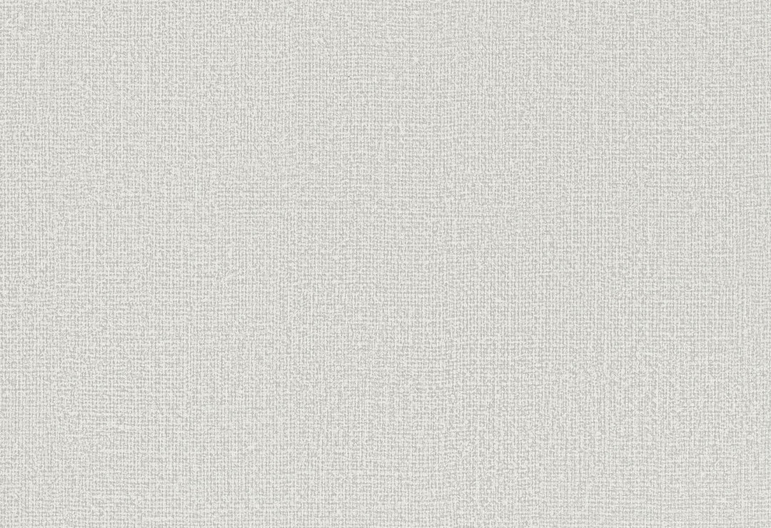 HookedOnWalls Passe Partout 2025 Tone on Tone Tone on Tone behang 4497Afbeelding 1