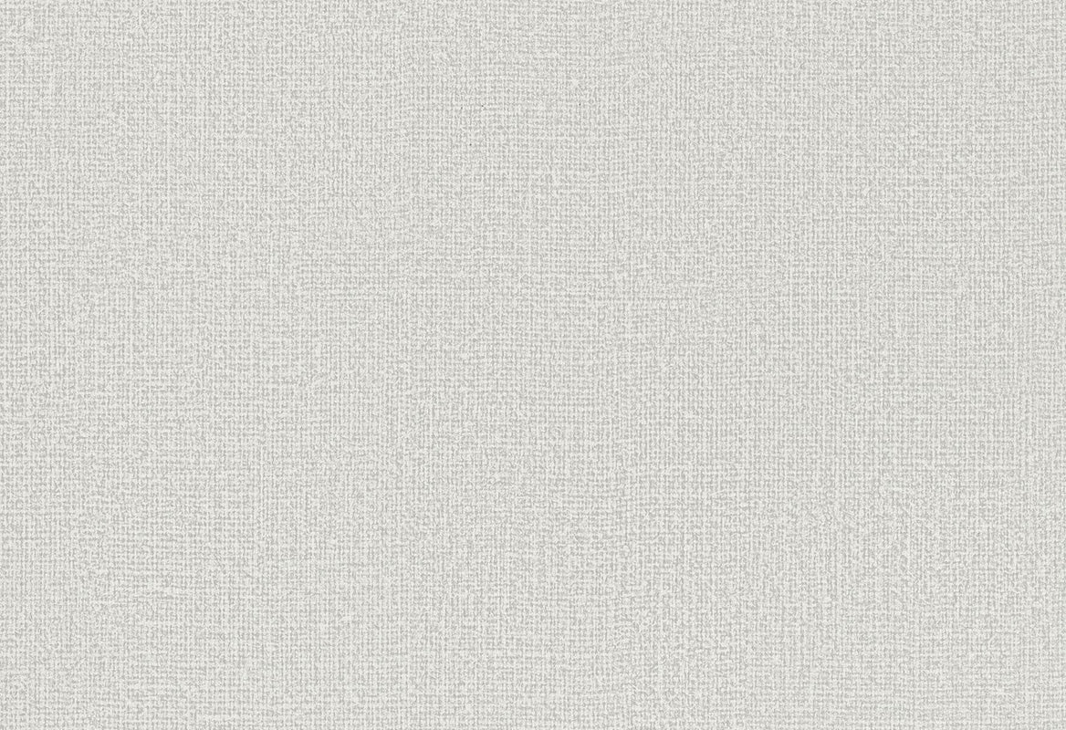 HookedOnWalls Passe Partout 2025 Tone on Tone Tone on Tone behang 4497Afbeelding 1
