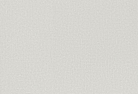 HookedOnWalls Passe Partout 2025 Tone on Tone Tone on Tone behang 4497Afbeelding 1
