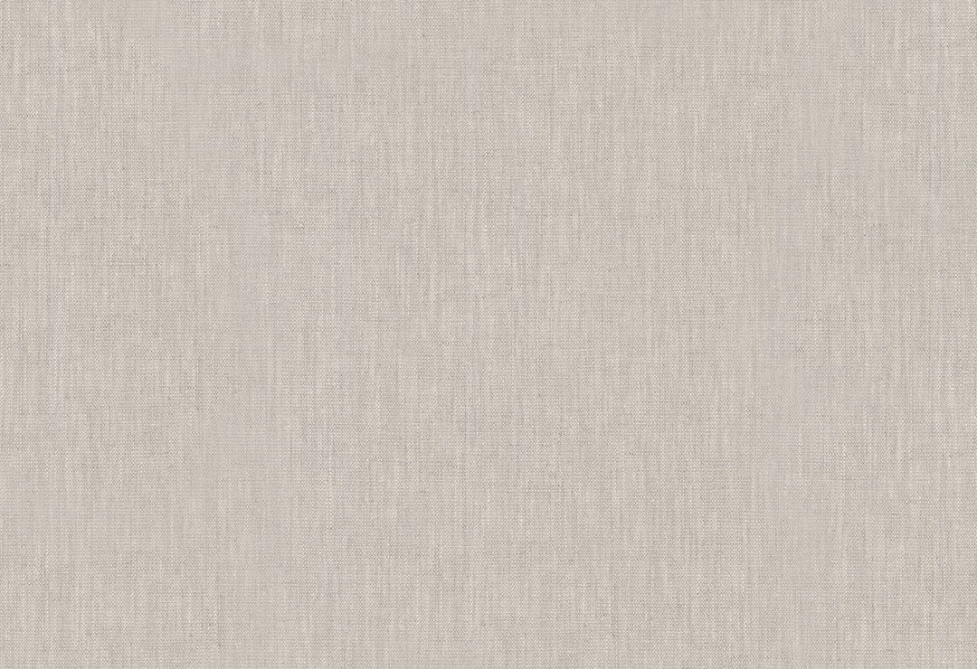 HookedOnWalls Passe Partout 2025 Tone on Tone Tone on Tone behang 4499Afbeelding 1