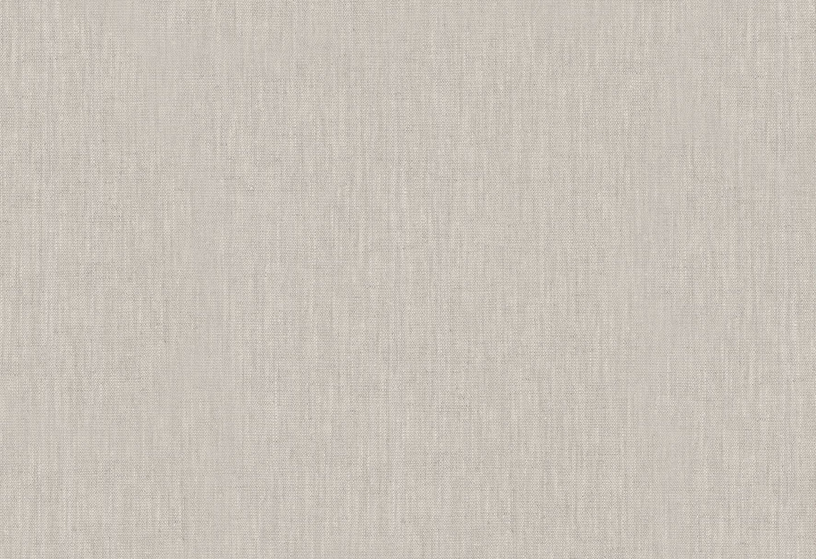 HookedOnWalls Passe Partout 2025 Tone on Tone Tone on Tone behang 4499Afbeelding 1