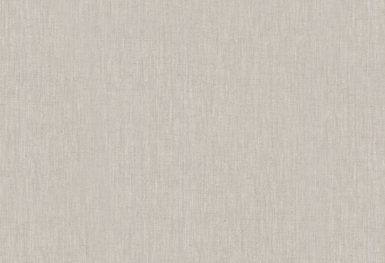 HookedOnWalls Passe Partout 2025 Tone on Tone Tone on Tone behang 4499Afbeelding 1