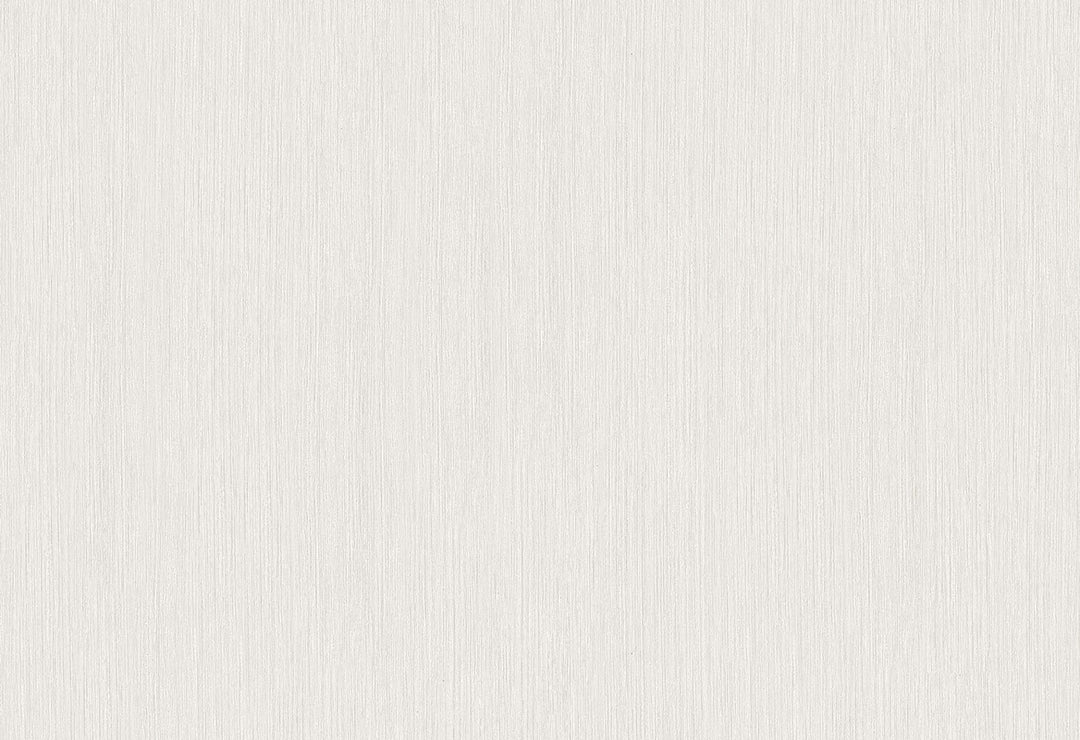 HookedOnWalls Passe Partout 2025 Tone on Tone Tone on Tone behang 4498Afbeelding 1