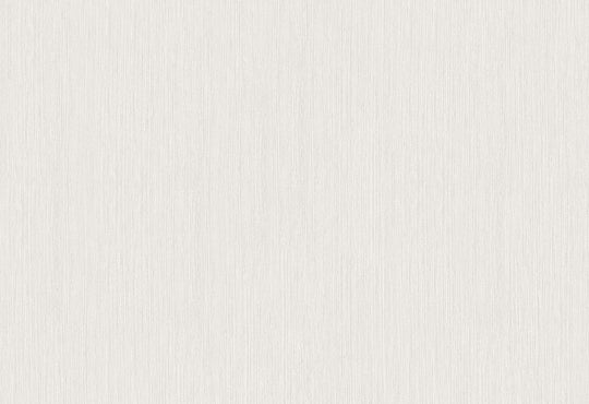 HookedOnWalls Passe Partout 2025 Tone on Tone Tone on Tone behang 4498Afbeelding 1