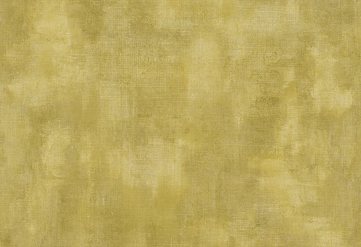 HookedOnWalls Passe Partout 2025 Tone on Tone Tone on Tone behang 4491Afbeelding 1