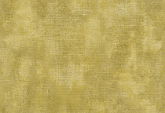 HookedOnWalls Passe Partout 2025 Tone on Tone Tone on Tone behang 4491Afbeelding 1