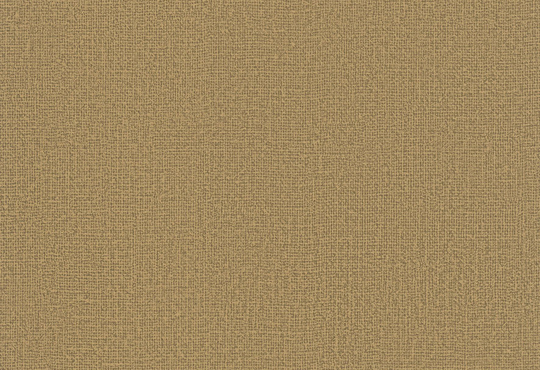 HookedOnWalls Passe Partout 2025 Tone on Tone Tone on Tone behang 4495Afbeelding 1