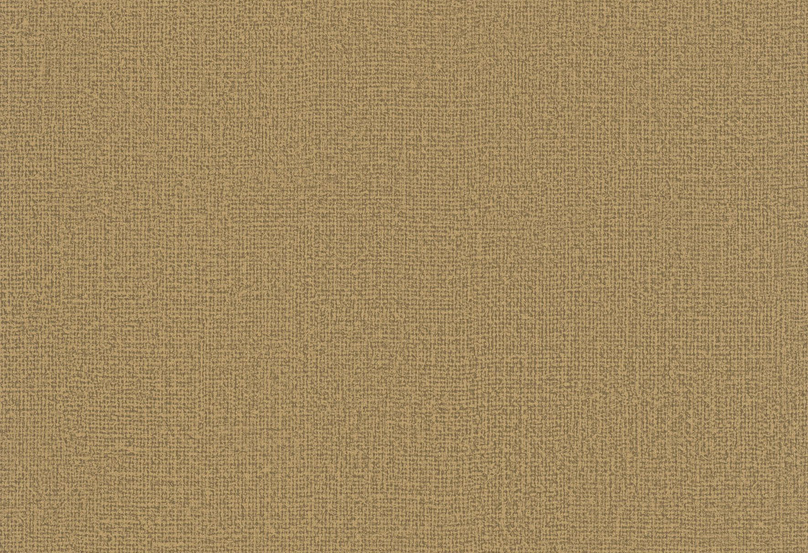 HookedOnWalls Passe Partout 2025 Tone on Tone Tone on Tone behang 4495Afbeelding 1